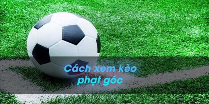 Phạt góc đầu cuối sẽ là cơ sở cho các dự đoán phạt góc khác